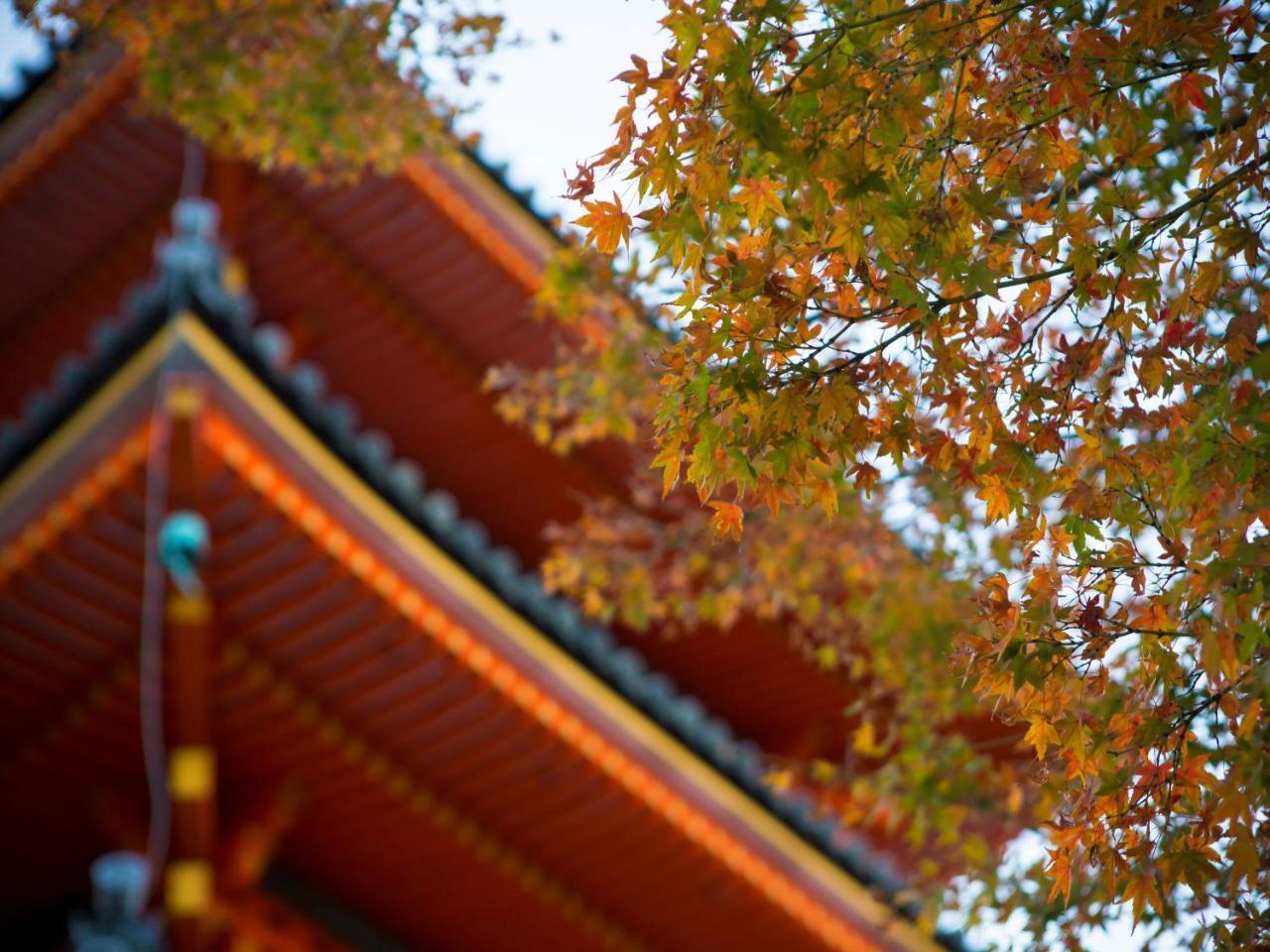 Saka Hotel Kyoto Extérieur photo